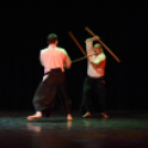 Japán nap a Flesch Központban