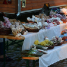 Szigetköz ízei, Vármegye borai Fesztivál 1. nap (Fotó: Bánhegyi István)