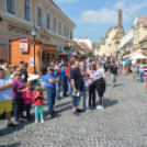  Pannonia-Carnuntum Old-Timer Rallye (Fotó: Nagy Mária)