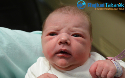 Györkös Maja, 3610 gr. Csorna