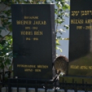 Séta a Zsidó temetőben (Fotó: Nagy Mária)