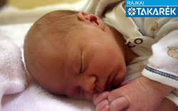 Petrekovits Maja, Mosonmagyaróvár