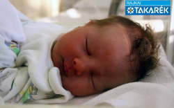 Hantos Kristóf, Lövő