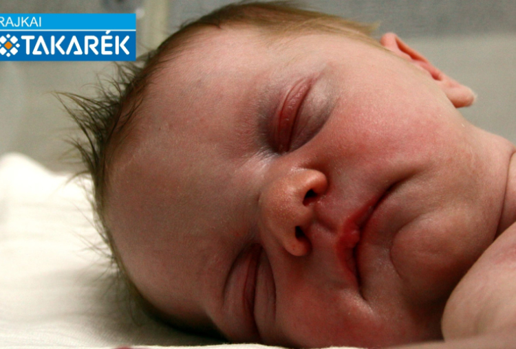 Pap Abigél Vanda, Mosonmagyaróvár