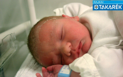 Baracskai Ábel, Sobor