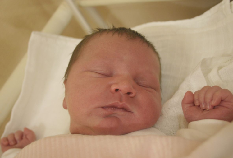 Barkóczi Zalán, Mosonmagyaróvár