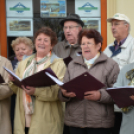 Kult utca szombat (Fotó: Nagy Mária)