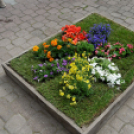 Apró kezek, csodakertek kertépítő verseny (Fotó: Horváth Attila)