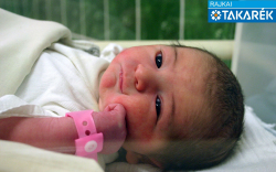 Nyerges Vivien, Bősárkány