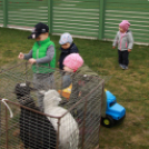 A Pillangó Óvoda és Mini Bölcsöde közös húsvétolása a Mosonmagyaróvári Mentőszolgálat gyermekeivel