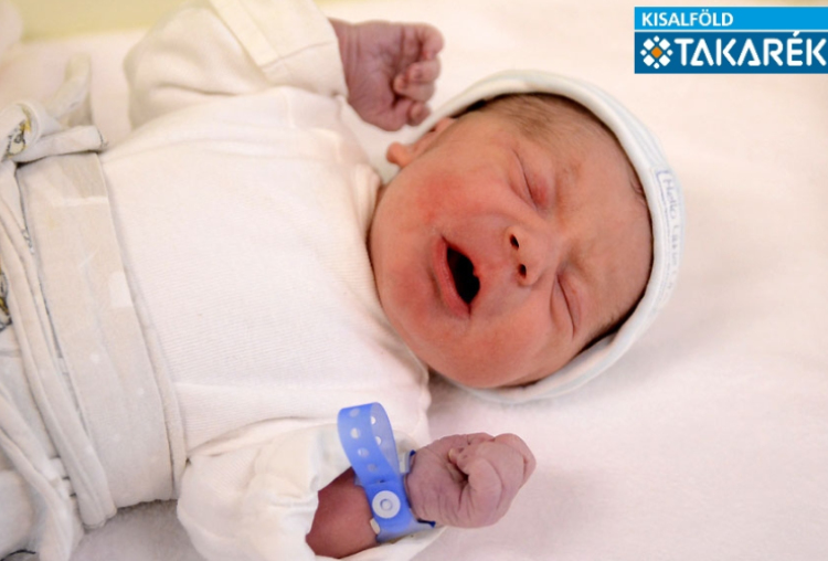 Pásztor Bence, Lipót