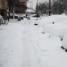 Mosonmagyaróvár Havazás után (Fotó: Nagy Mária)