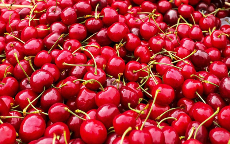 Uniós földrajzi árujelző oltalmat kapott a Nagykörűi ropogós cseresznye