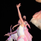 Balett Gála (Fotó: Bánhegyi István)