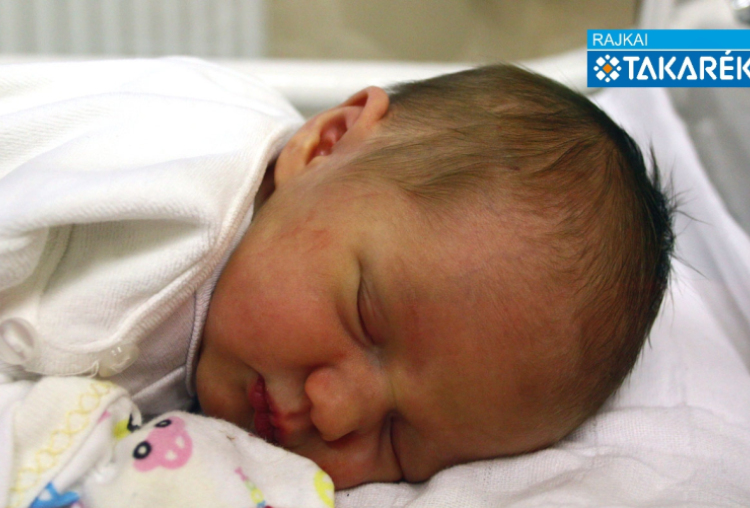 Kienzl Eszter Flóra, Sopron