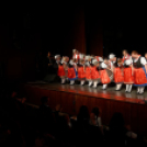 Litresits Mátyás emlékműsor - Kívánságod szerint... (Fotó: Horváth Attila)