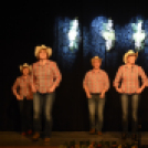 Ünnepi gálaműsor a tánc világnapja tiszteletére - Szigeti Gábor táncpedagógus emlékére