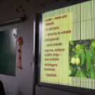 Ujhelyi Imre Általános Iskola - Életvitel és Gyakorlati ismeretek verseny megyei fordulója