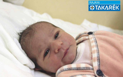 Csattos Regina, Mosonszentmiklós