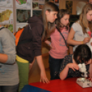 SONDAR konferencia - Együtt a földdel! (Fotó: Nagy Mária)