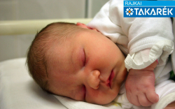 Szűcs Flóra Róza, Vitnyéd