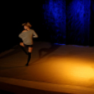 Jótékonysági műsor - Fehér és Máltai Szeretetszolgálat az Éltes iskola javára (Fotó: Horváth Attila)