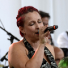 Tiszta Amerika - Vár-tó party