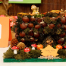 X. Jánossomorjai Tökfesztivál (Fotó: Horváth Attila)