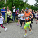 XII. Greiner Szigetköz Minimaraton (Fotó: Horváth Attila)