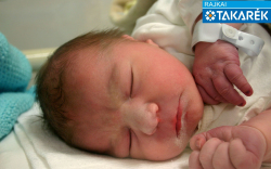 Gaszner Bence, Mosonmagyaróvár