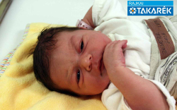 Demeter Luca Kata, Mosonszolnok