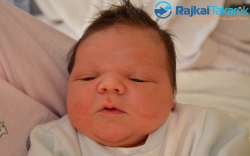 Fischer Erik, 3820 gr. Krisztinamajor