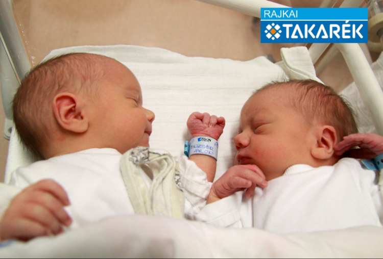 Lenzsér Gergő, Lenzsér Áron, Bősárkány