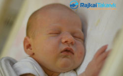 Lovász Áron, Mosonmagyaróvár