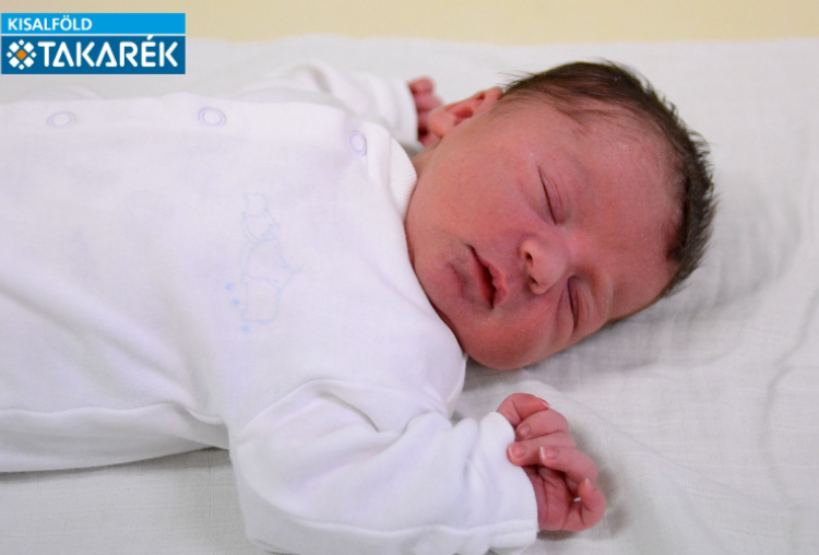 Vajas Zente Eduárd, Hegyeshalom