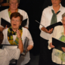 Jótékonysági műsor a Családok Átmeneti Otthona javára (Fotó: Nagy Mária)