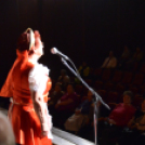 Nyugdíjas Ki-Mit-Tud I. Elődöntő 2014