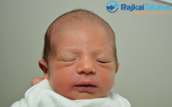 Rákász Alex, 2350 gr. Ásványráró