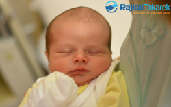 Bindics Olivér, 3310 gr. Mosonszolnok