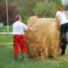 Parasztolimpia 2013 - 1 (Fotó: Nagy Mária)