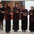 László Dániel festő kiállítása (Fotó: Nagy Mária)