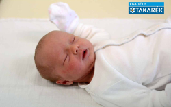 Horváth Molli, Jánossomorja