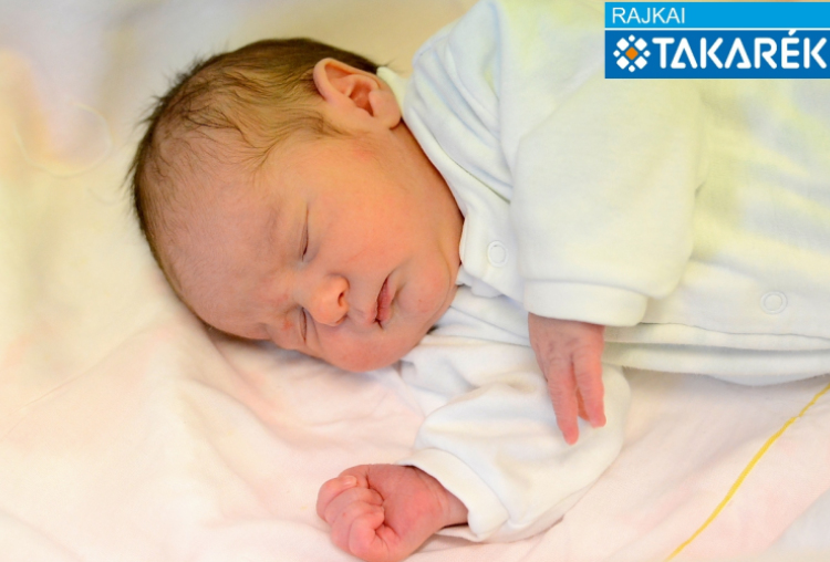 Ozmándi-Bodits Alex, Mosonmagyaróvár