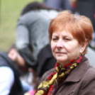  Városi Majális 2017 