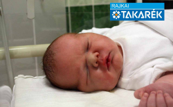 Kóczán Kornél, Mosonszolnok