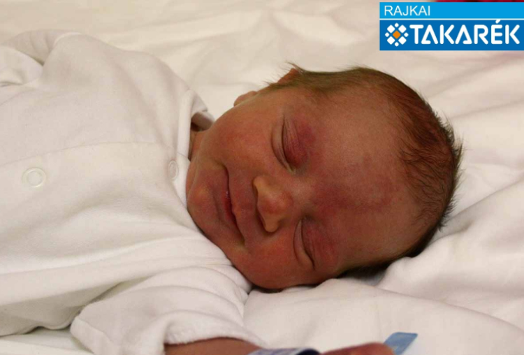 Sánta Ármin, Mosonmagyaróvár