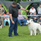 CAC kutyakiállítás (Fotó: Nagy Mária)