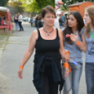 Szigetköz ízei, vármegye borai fesztivál - péntek (Fotó: Nagy Mária)