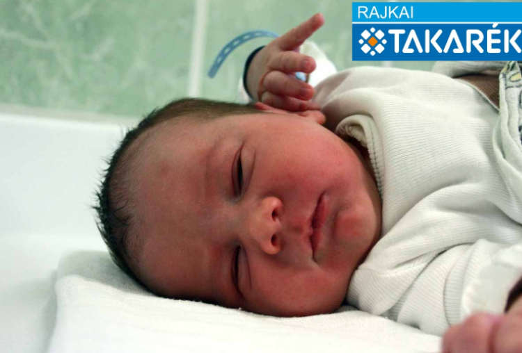 Lang Ármin, Mosonmagyaróvár