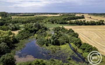 Hubai Imre: az éves öntözési igény többletvíz formájában be van tárazva a tájban